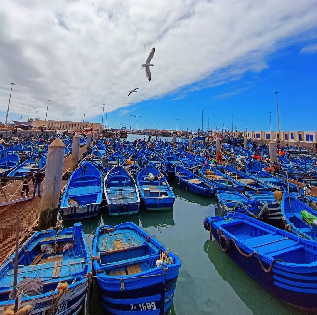 Excursion Essaouira — Côte Atlantique